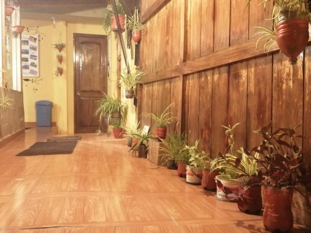 Eco Aventura Hostel Cuzco Exteriér fotografie